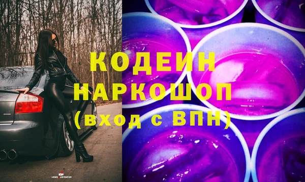 гашик Каменка