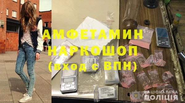 гашик Каменка