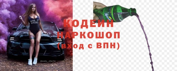 гашик Каменка