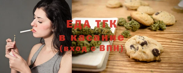 гашик Каменка