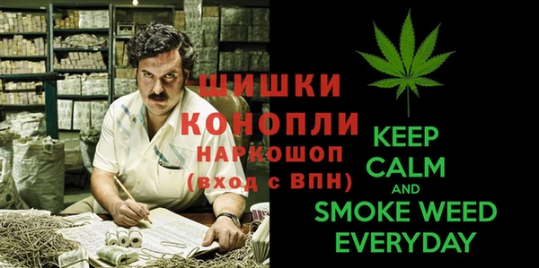 амфетамин Каменногорск