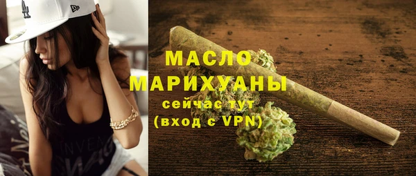 гашик Каменка