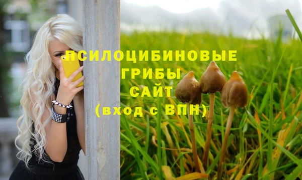 прущая мука Каменск-Шахтинский