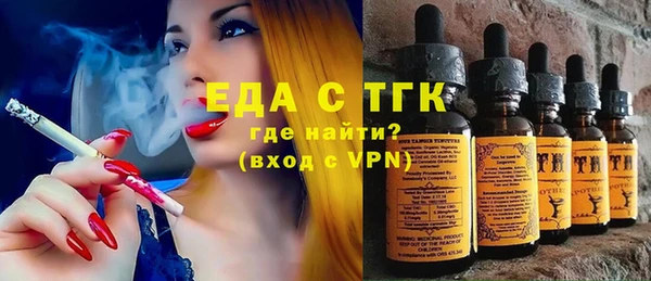 гашик Каменка
