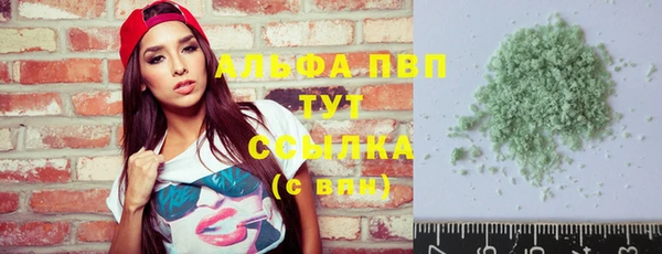 гашик Каменка
