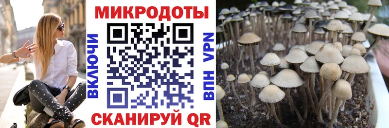 Купить закладки  Елабуга  Галлюциногенные грибы мицелий 